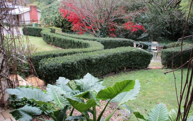 The Garden Suite