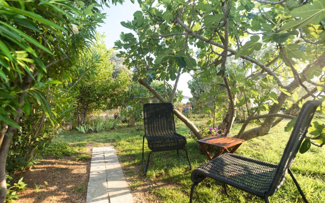 Studio Point of view