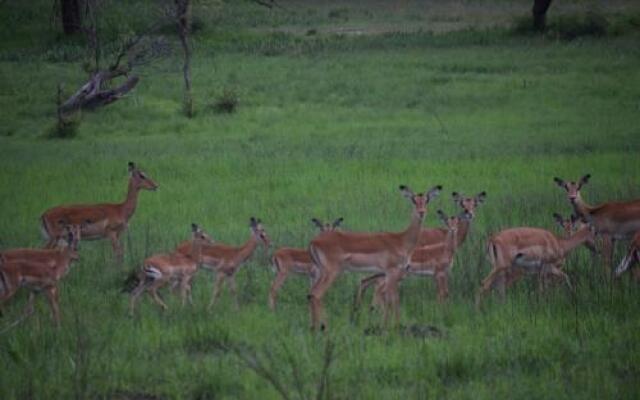 Mawimbi Bush Camp