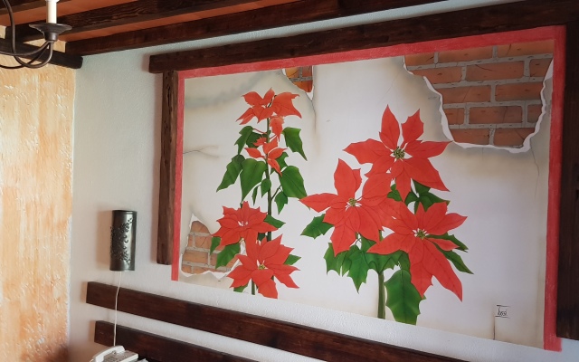 Hotel Boutique Posada de las Flores Loreto