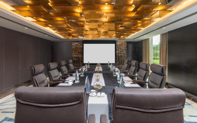 Radisson Blu Plaza Delhi Airport