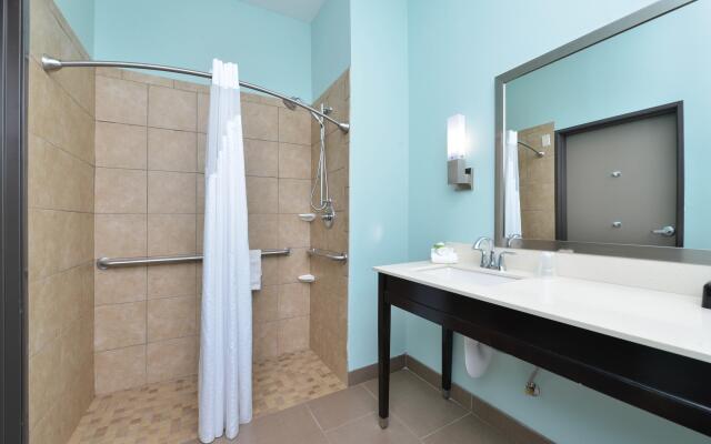 Holiday Inn Express & Suites Austin South by IHG