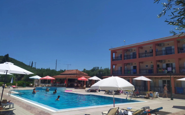 Zante Dolphin