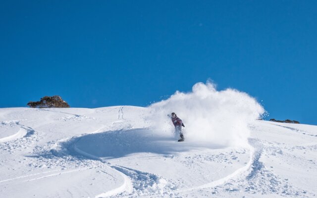 Snowgums on the Lake