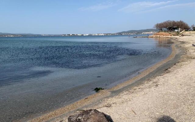 Appartement Sète, 1 Pièce, 4 Personnes - Fr-1-338-144