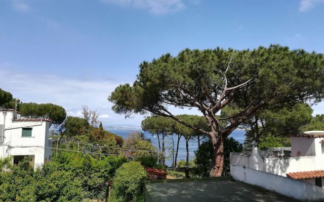 B&B Villa Cinque Pini