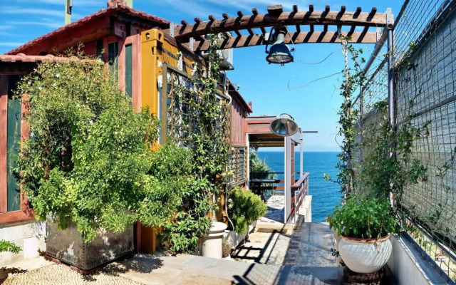 Container Luxury House
