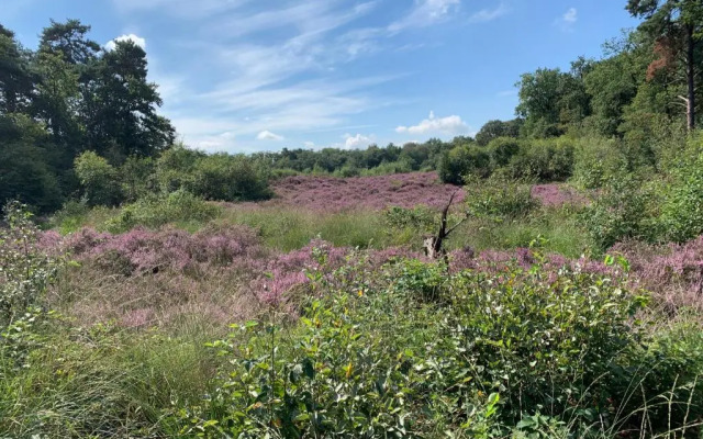 Luxe All season Chalet De Goudenregen