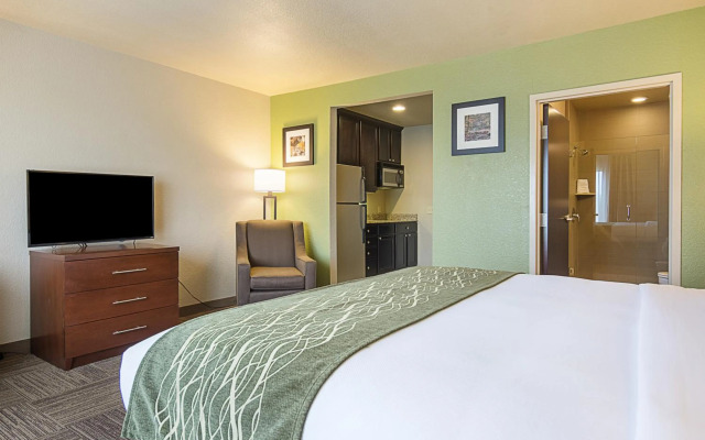 Comfort Inn Bentonville - Crystal Bridges
