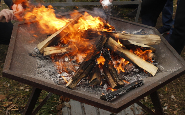 Sosnovyj Bor (Zudilovo)