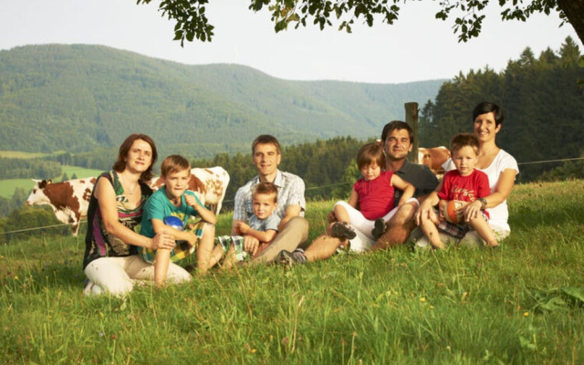 Holiday Apartment Hohe Stein