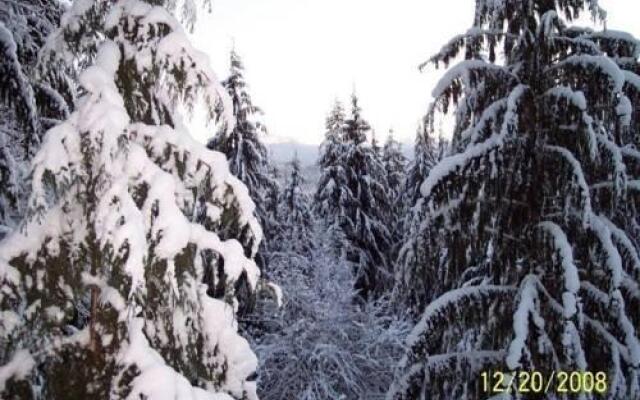 The Country Cedar Inn