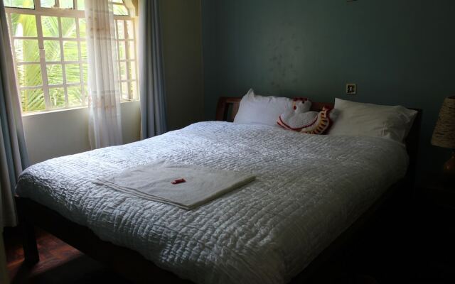 Tranquil homestays