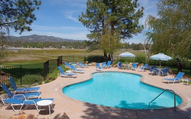 A Piece Of Bearadise Condo