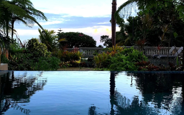 Rainforest Inn