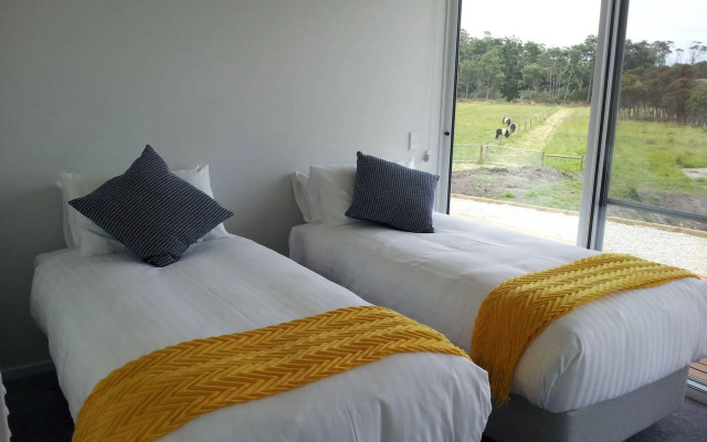 Pelican Point Tasmania