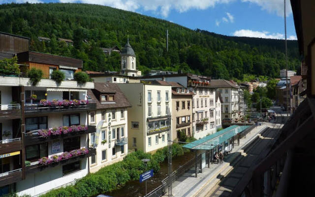 Hotel Traube