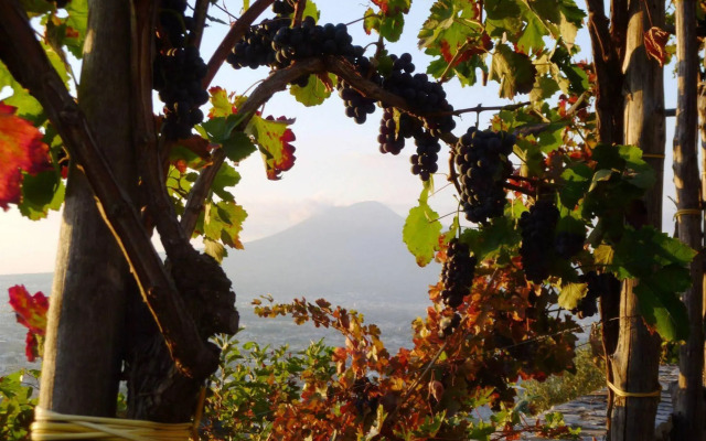 Agriturismo Villa Palmentiello