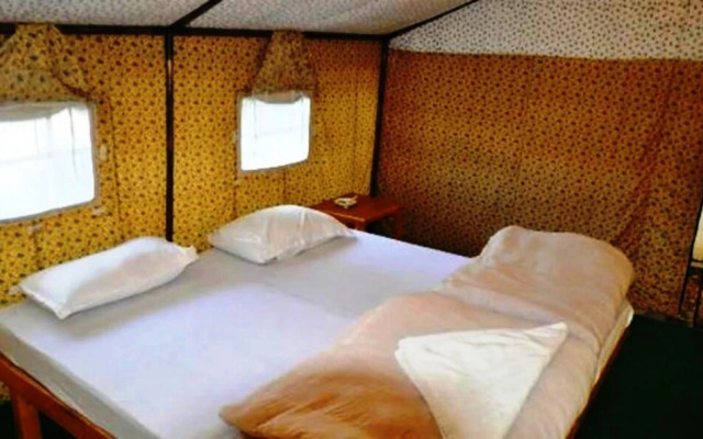 TIH The Norling Camp - Pangong