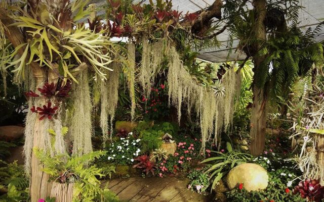 Silathong Coffee and Flower