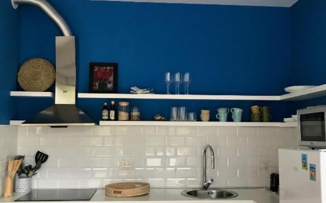 1 BR apartment with spacious terrace