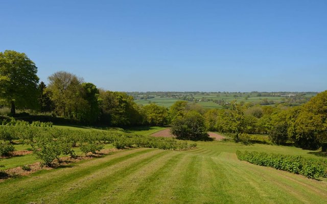 Unique rural retreat on a lovely 15 acre smallholding with award winni