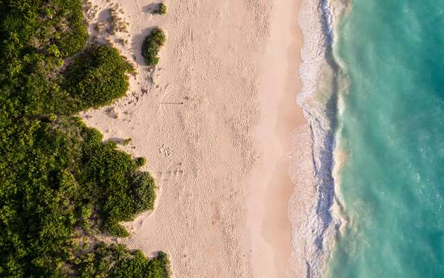 TRS Coral Hotel - Adults Only - All Inclusive