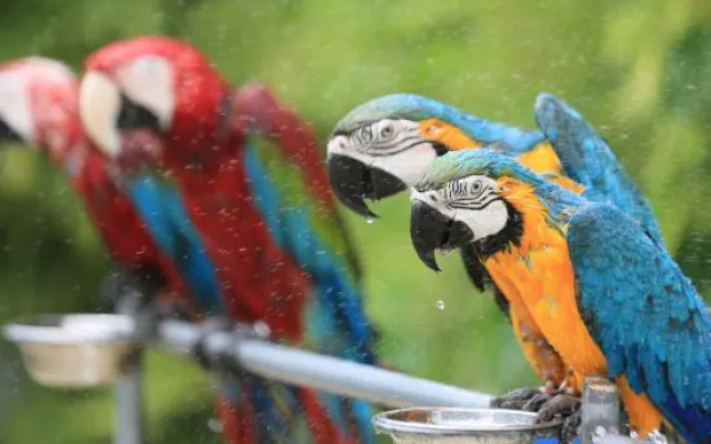 Zhuquan Village Scenic Area Hostel