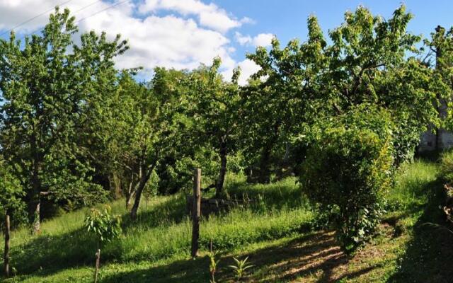 Mozzanella Holiday Home in Garfagnana