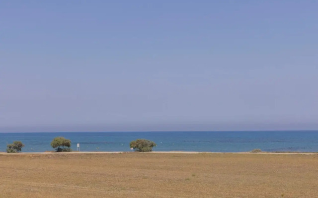 Larnaca Chelidonia Seafront Villa