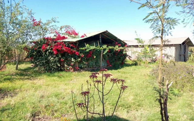WE4Kenya Guesthouses and Farm