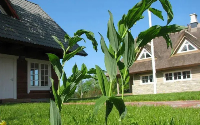 Uueelu Holiday Homes