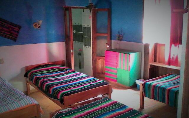 Hostal Casa Caracol