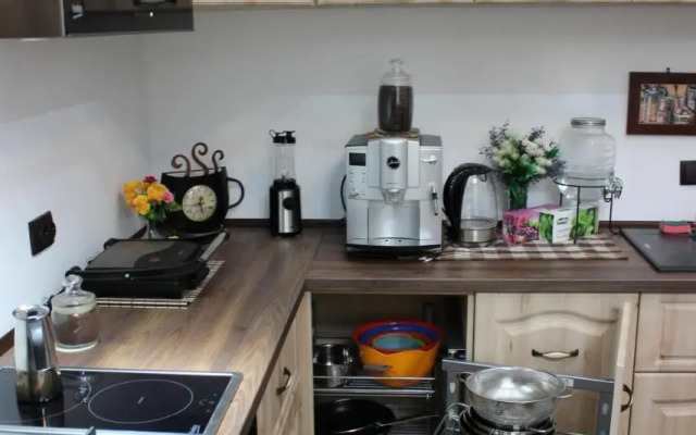 ELLA Apartment Timisoara no9