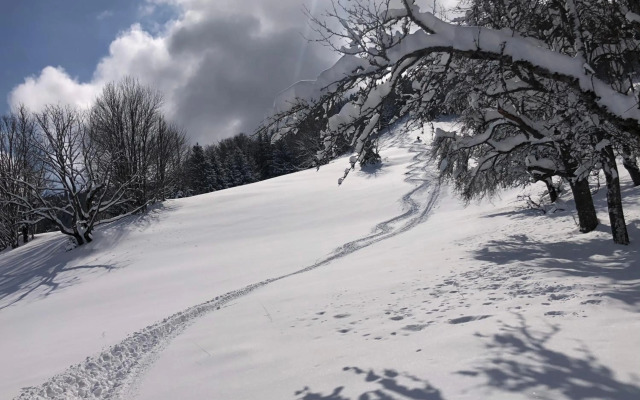 Das Haus am Berg: Nestelberg17