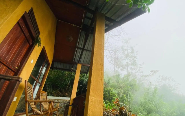 Rainforest Nature House