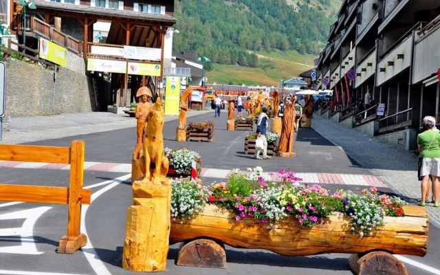 Teleo 103 Ski In - Ski Out 50m