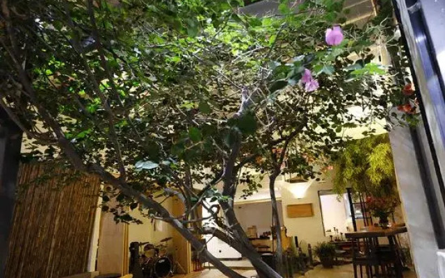 DaLi LOFT Travelling With Hostel