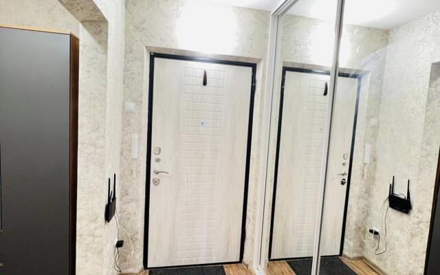 Саквояж на переулке Светлогорский 18