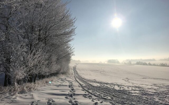 Peaceful Garden Stay