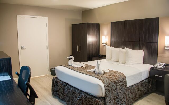 SureStay Plus by Best Western Santa Clara Silicon Valley