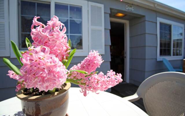 Paradise Suites & Vacation Rentals