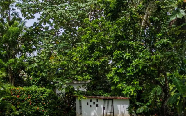 Pro Cab Cabarete