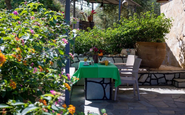 The Olive House