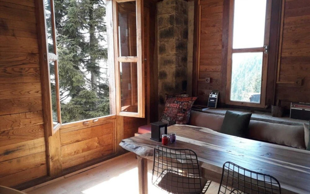 Pokut Orion