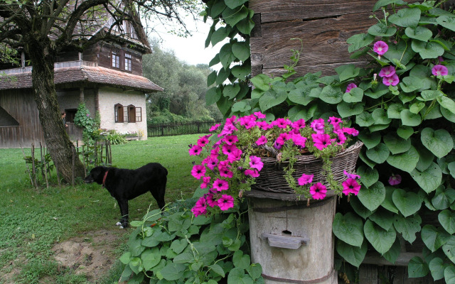 Ethno Village Stara Lonja