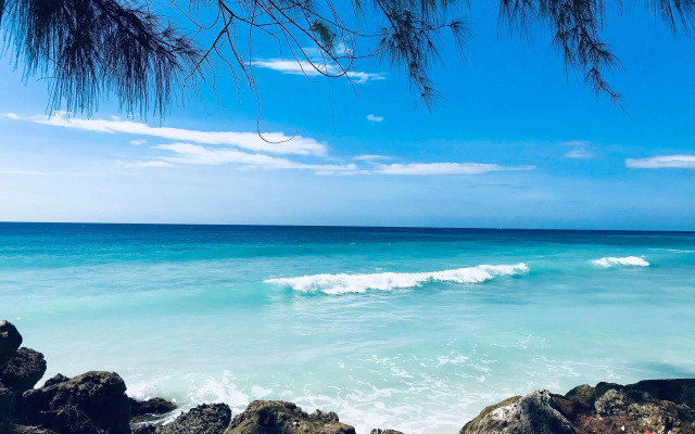 Divi Southwinds Beach Resort