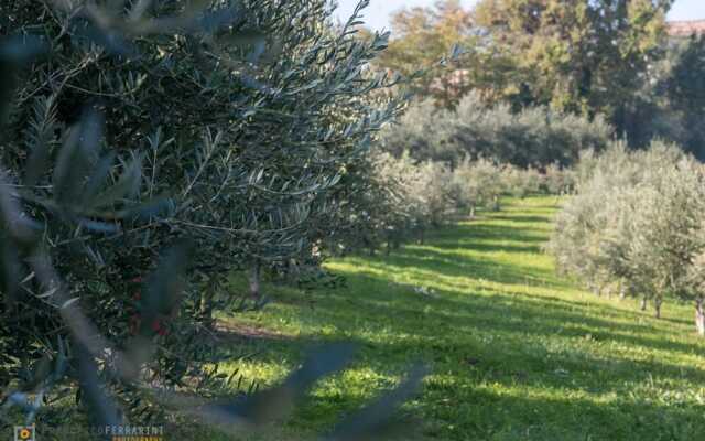 Agriturismo Acetaia Sereni