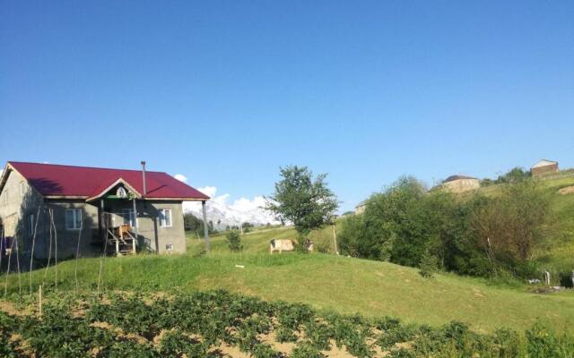 Lia's Guest house Tsvirmi