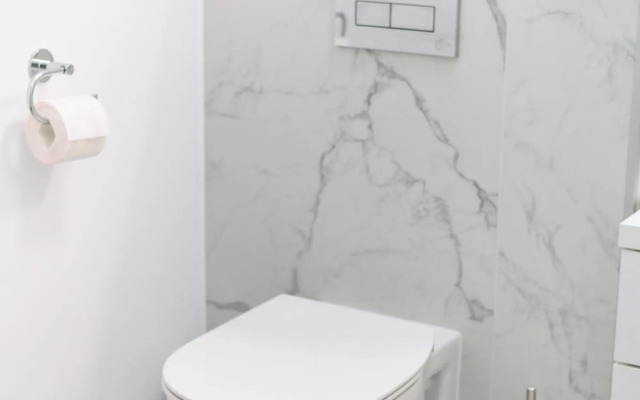 North Artistique - Aviatiei